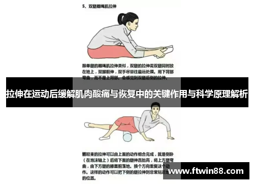 拉伸在运动后缓解肌肉酸痛与恢复中的关键作用与科学原理解析